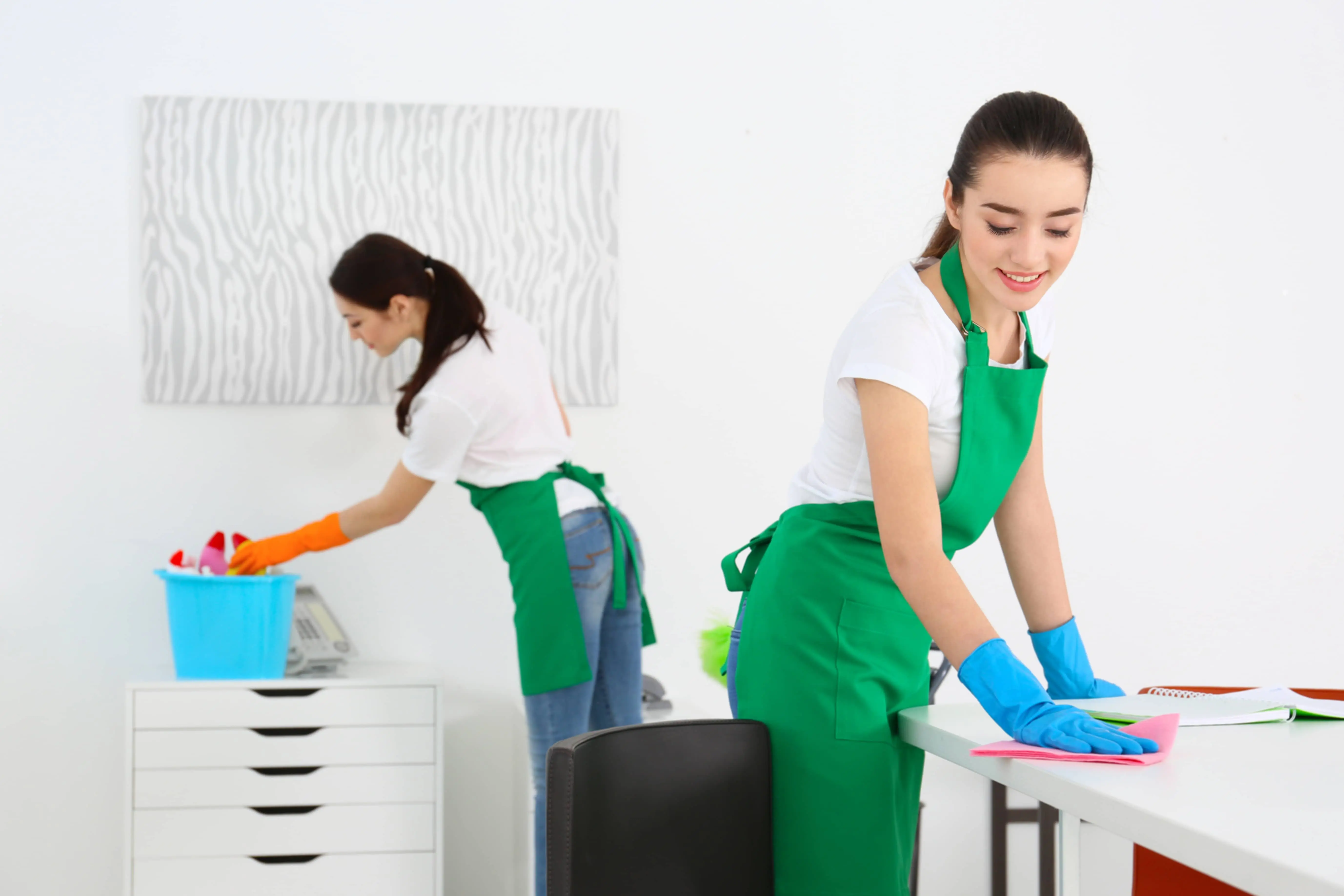 Professional cleaning service