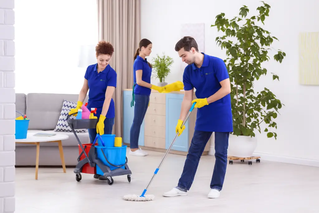 Professional cleaning service